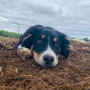 Meet your Posher, Avery